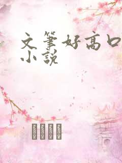 文笔好高口碑的小说