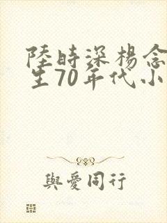 陆时深杨念念重生70年代小说
