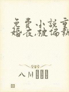 免费小说重生新婚夜,被偏执大佬亲疯了