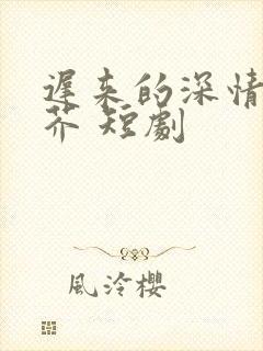 迟来的深情如草芥 短剧