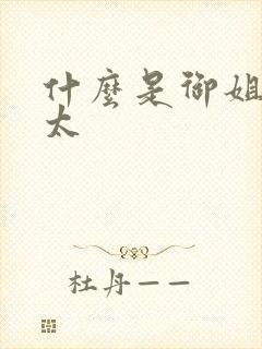 什么是御姐和正太