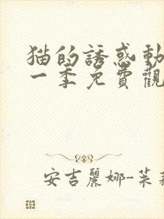 猫的诱惑动漫第一季免费观看