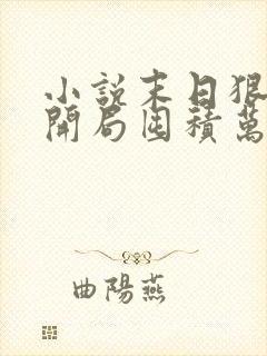 小说末日狠人:开局囤积万亿物资免费