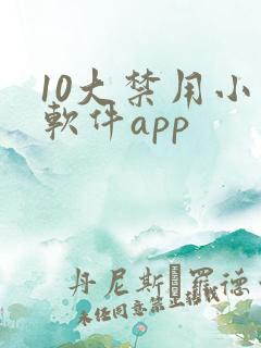 10大禁用小说软件app
