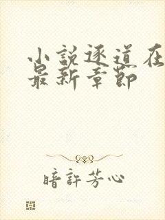 小说逐道在诸天最新章节