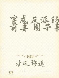 穿成反派的炮灰前妻 团子来袭