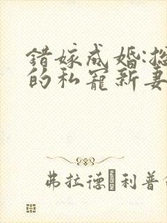 错嫁成婚:总裁的私宠新妻()