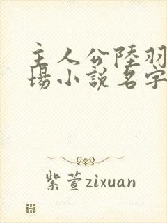 主人公陆羽的官场小说名字