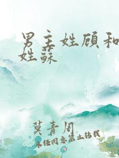 男主姓顾和女主姓苏