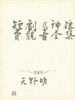 短剧《神狼》免费观看全集