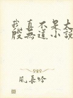 我真不是大反派殷无道小说在线阅读