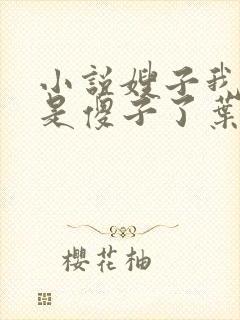 小说嫂子我真不是傻子了叶凡下载全文