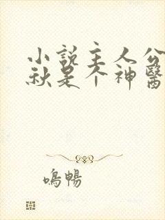 小说主人公叫叶秋是个神医的小说