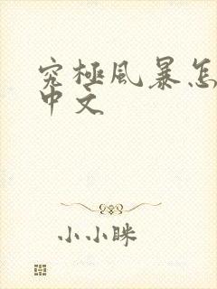 究极风暴怎么调中文