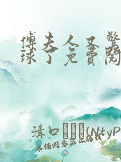 傅夫人又惊艳全球了免费阅读