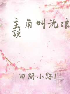 主角叫沈浪的小说