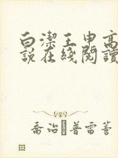 白洁王申高义小说在线阅读