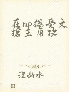在np总受文里抢主角攻