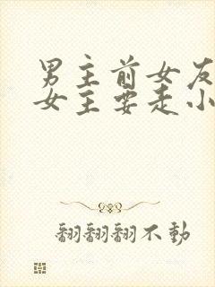 男主前女友回来女主要走小说推荐