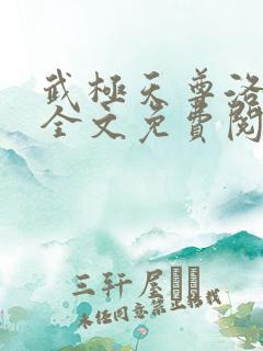 武极天尊洛无书全文免费阅读