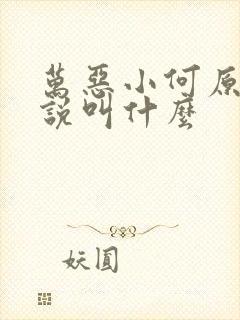 万恶小何原著小说叫什么
