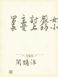 男主讨厌女主后来爱上的小说