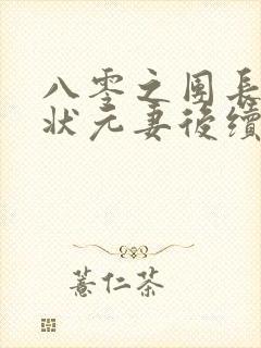 八零之团长苦追状元妻后续