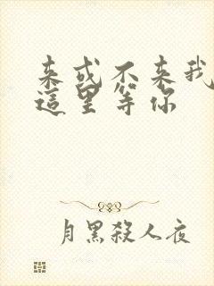 来或不来我都在这里等你