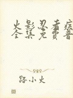 火影忍者疾风传全集免费普通话