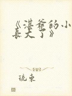 《湛爷的小妖精长大了》