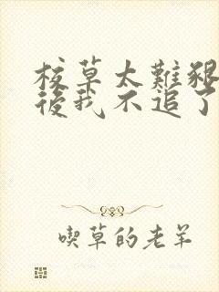 校草太难啃重生后我不追了段靳珩全文阅读