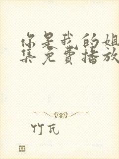 你是我的姐妹全集免费播放电视剧