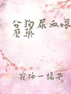 公狗尿血喂点什么药