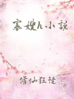 寡嫂h小说