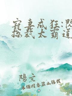 宠妻成狂:闪婚总裁太霸道