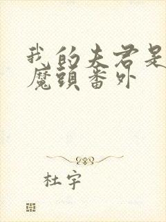 我的夫君是灭世魔头番外