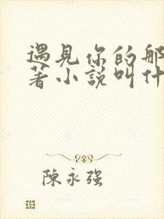 遇见你的那天原著小说叫什么