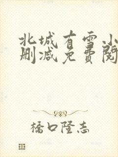 北城有雪小说无删减免费阅读