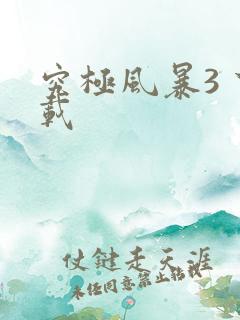 究极风暴3 下载