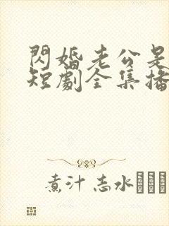 闪婚老公是豪门短剧全集播放