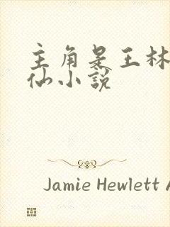 主角是王林的修仙小说