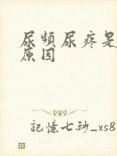 尿频尿疼是什么原因