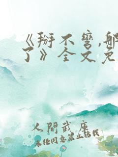 《掰不弯,那算了》全文免费阅读