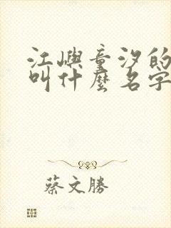 江屿童汐的小说叫什么名字