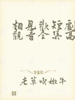 相见欢短剧免费观看全集高清