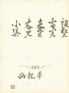 小丈夫电视剧全集免费完整版在线观看