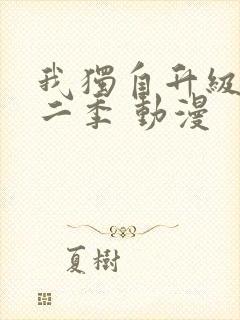 我独自升级 第二季 动漫