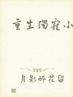 重生独宠小军嫂