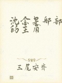 沈念是哪部小说的主角