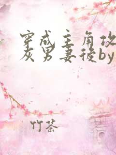 穿成主角攻的炮灰男妻后by